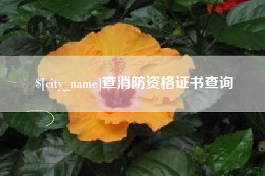 德宏查消防资格证书查询