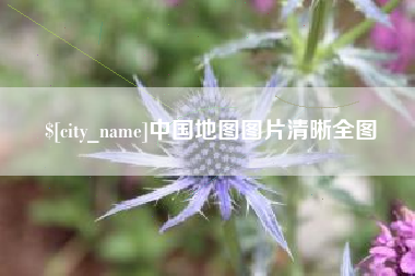 德宏中国地图图片清晰全图