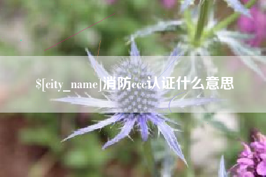 德宏消防ccc认证什么意思