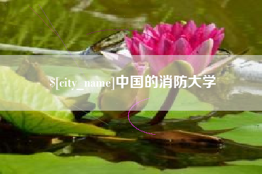 德宏中国的消防大学