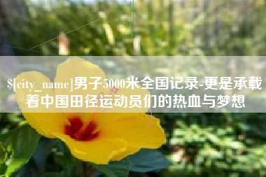 德宏男子5000米全国记录-更是承载着中国田径运动员们的热血与梦想