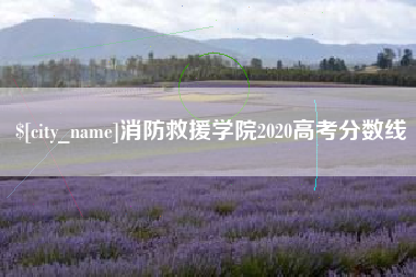 德宏消防救援学院2020高考分数线