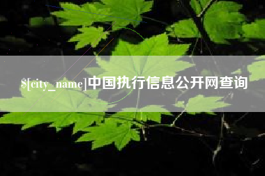 德宏中国执行信息公开网查询