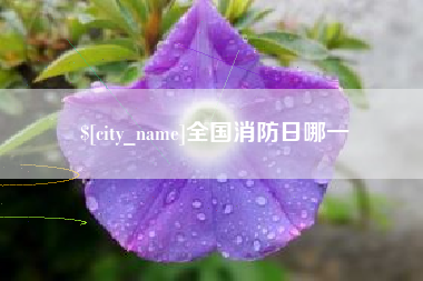 德宏全国消防日哪一