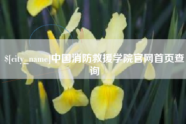 德宏中国消防救援学院官网首页查询