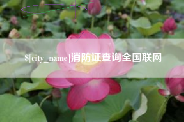 德宏消防证查询全国联网