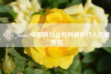 德宏中国执行公开网被执行人名单查询