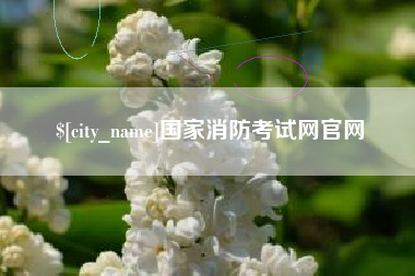德宏国家消防考试网官网