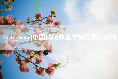 德宏中国消防救援学院官网分数线