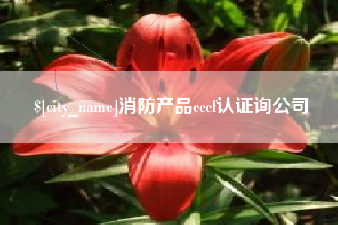 德宏消防产品cccf认证询公司