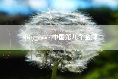 德宏中国第九个金牌