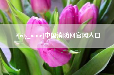 德宏中国消防网官网入口