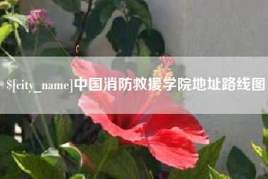 德宏中国消防救援学院地址路线图