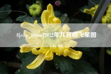 德宏2022年九宫格飞星图