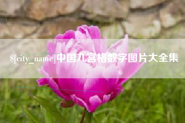 德宏中国九宫格数字图片大全集