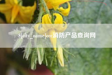 德宏ccc消防产品查询网
