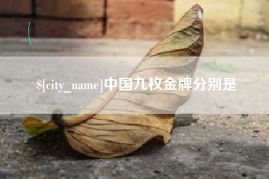 德宏中国九枚金牌分别是