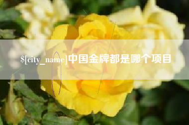 德宏中国金牌都是哪个项目