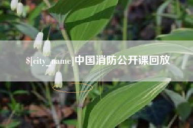 德宏中国消防公开课回放