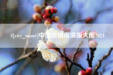 德宏中国地图高清版大图2024