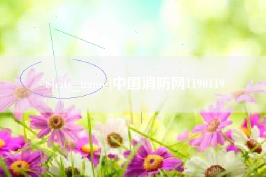德宏中国消防网1190119