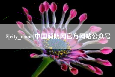 德宏中国消防网官方网站公众号