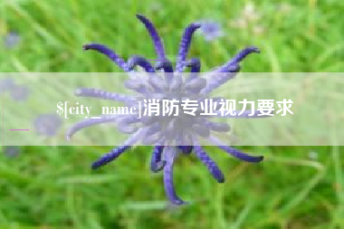德宏消防专业视力要求