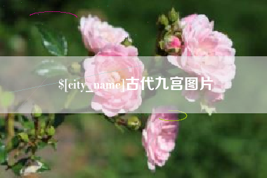 德宏古代九宫图片
