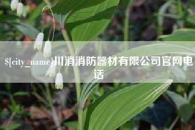 德宏川消消防器材有限公司官网电话