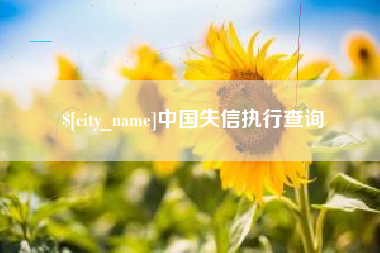 德宏中国失信执行查询