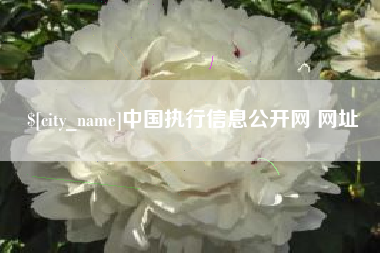 德宏中国执行信息公开网 网址