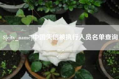 德宏中国失信被执行人员名单查询
