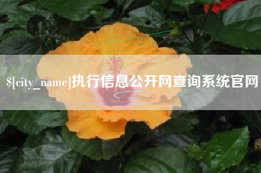 德宏执行信息公开网查询系统官网