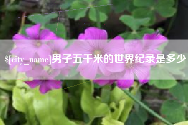 德宏男子五千米的世界纪录是多少
