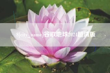 德宏谷歌地球2024超清版