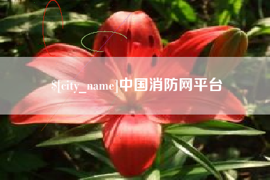 德宏中国消防网平台