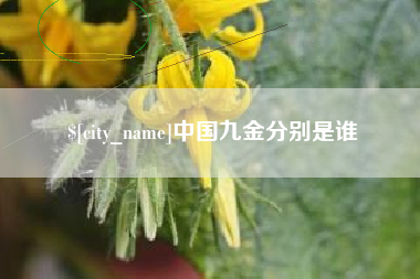 德宏中国九金分别是谁