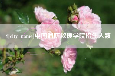 德宏中国消防救援学院招生人数