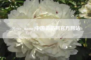 德宏中国消防网官方网站