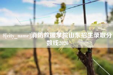 德宏消防救援学院山东招生录取分数线2020