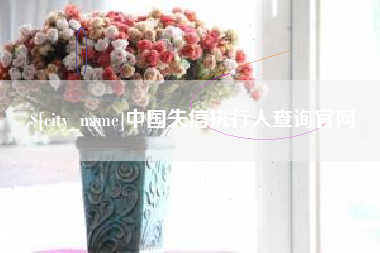 德宏中国失信执行人查询官网
