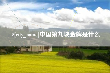 德宏中国第九块金牌是什么