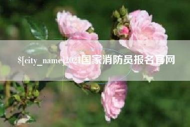 德宏2021国家消防员报名官网