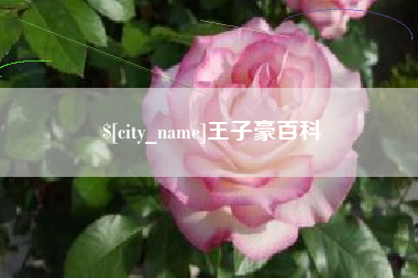 德宏王子豪百科