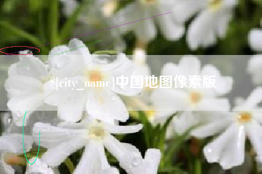德宏中国地图像素版