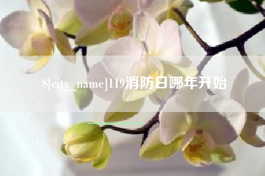 德宏119消防日哪年开始