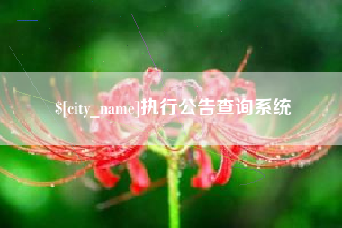 德宏执行公告查询系统