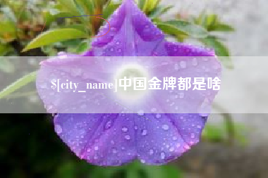 德宏中国金牌都是啥