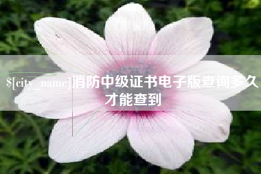 德宏消防中级证书电子版查询多久才能查到