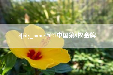 德宏2021中国第9枚金牌